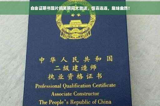 自由证明书图片搞笑瞬间大放送，惊喜连连，趣味盎然！