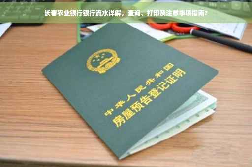 长春农业银行银行流水详解，查询、打印及注意事项指南?