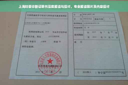 上海妇婴诊断证明书深度解读与探讨，专业解读图片及内容探讨