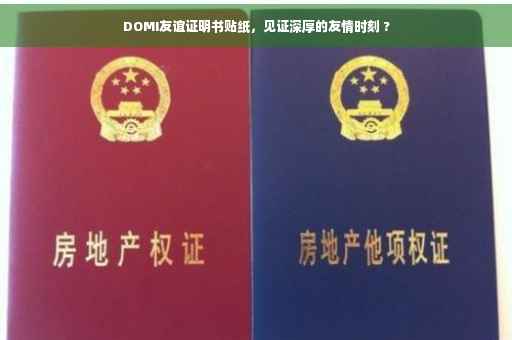 DOMI友谊证明书贴纸，见证深厚的友情时刻 ?