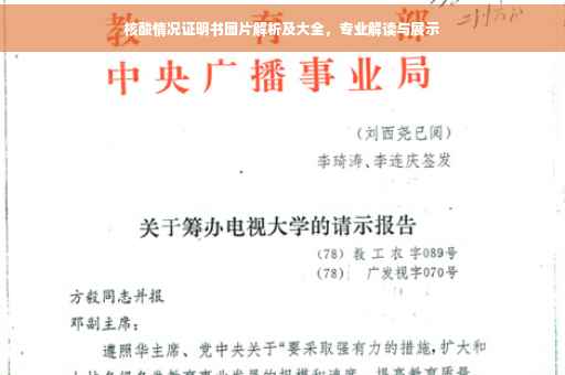 核酸情况证明书图片解析及大全，专业解读与展示