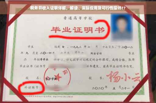 税务开收入证明详解，解读、实际应用及可行性探讨??