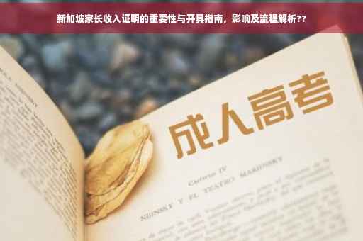 新加坡家长收入证明的重要性与开具指南，影响及流程解析??