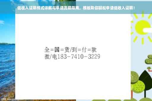 低收入证明格式详解与申请流程指南，模板助你轻松申请低收入证明！