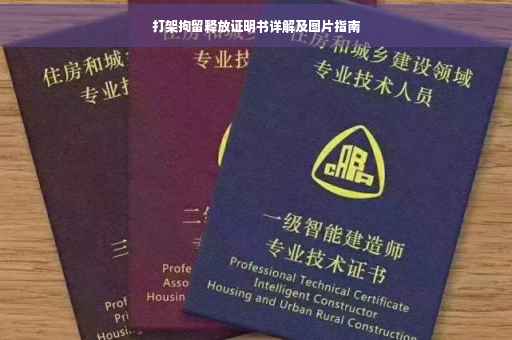 打架拘留释放证明书详解及图片指南