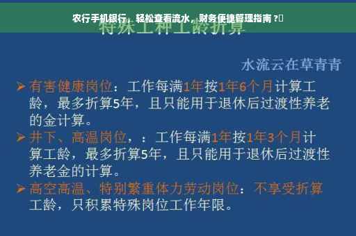 农行手机银行，轻松查看流水，财务便捷管理指南 ?✨