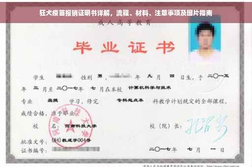 狂犬疫苗报销证明书详解，流程、材料、注意事项及图片指南