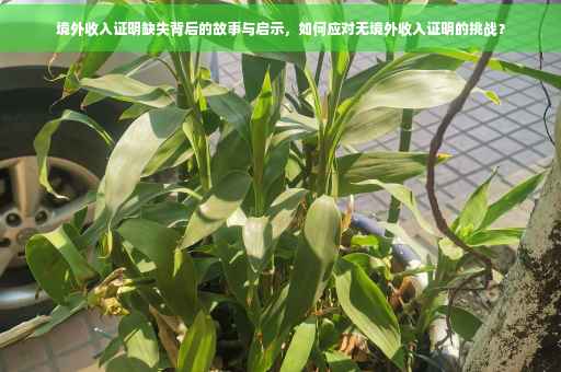 境外收入证明缺失背后的故事与启示，如何应对无境外收入证明的挑战？