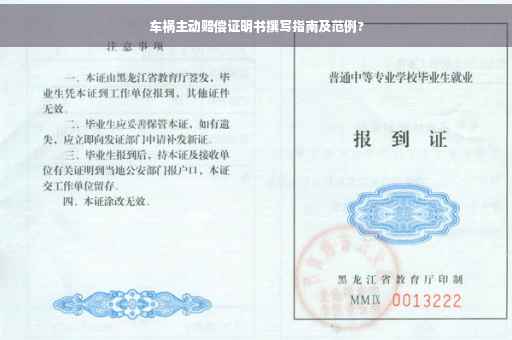车祸主动赔偿证明书撰写指南及范例?