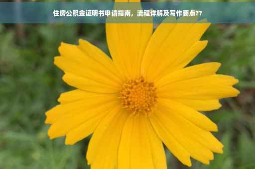 住房公积金证明书申请指南，流程详解及写作要点??