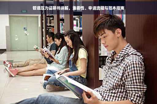管道压力证明书详解，重要性、申请流程与范本指南
