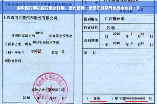 秦农银行手机银行流水详解，操作指南、常见问题及导出流水攻略 ?⚡️
