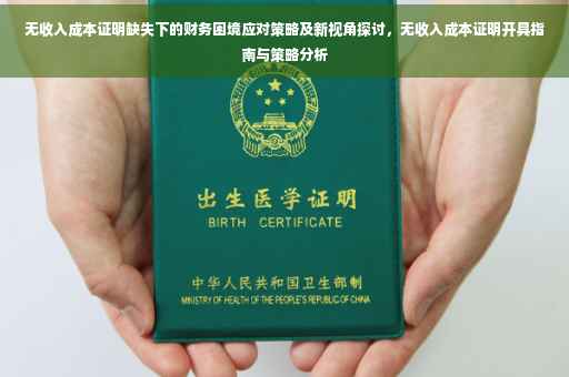 无收入成本证明缺失下的财务困境应对策略及新视角探讨，无收入成本证明开具指南与策略分析