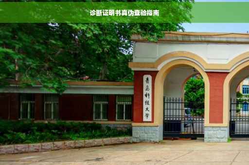 诊断证明书真伪查验指南