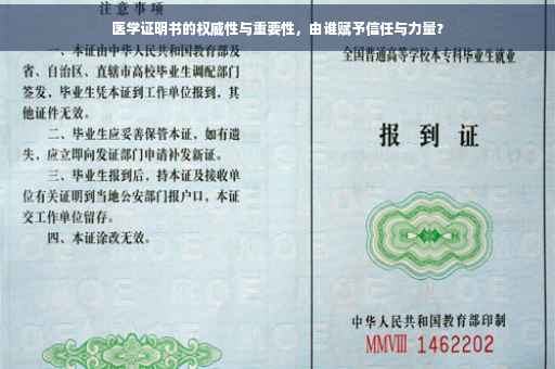 医学证明书的权威性与重要性，由谁赋予信任与力量？