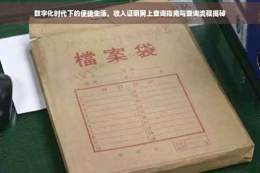 数字化时代下的便捷生活，收入证明网上查询指南与查询流程揭秘