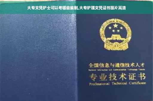大专文凭护士可以考哪些编制,大专护理文凭证书图片高清