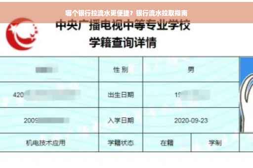 哪个银行拉流水更便捷？银行流水拉取指南