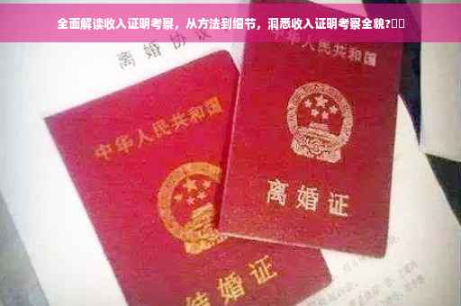 全面解读收入证明考察，从方法到细节，洞悉收入证明考察全貌?⚡️