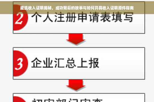 威凯收入证明揭秘，成功背后的故事与如何开具收入证明原件指南