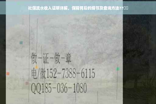 社保流水收入证明详解，保障背后的细节及查询方法??​​