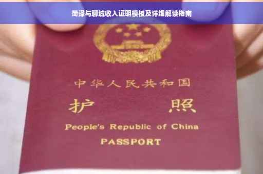 菏泽与聊城收入证明模板及详细解读指南