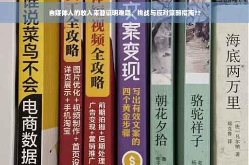 自媒体人的收入来源证明难题，挑战与应对策略指南??
