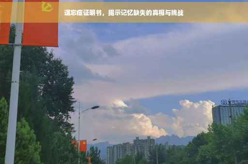 遗忘症证明书，揭示记忆缺失的真相与挑战