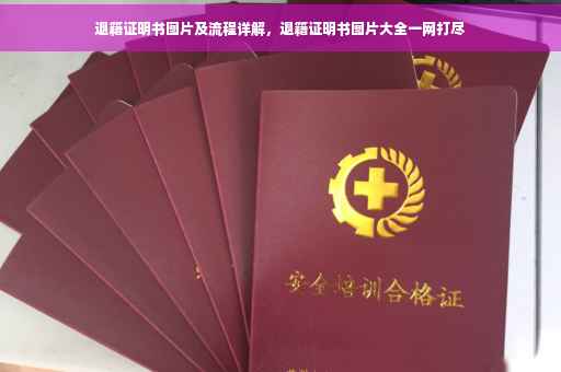 退籍证明书图片及流程详解，退籍证明书图片大全一网打尽