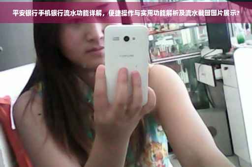 平安银行手机银行流水功能详解，便捷操作与实用功能解析及流水截图图片展示?