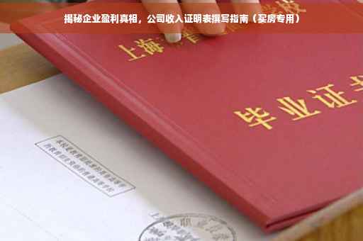 揭秘企业盈利真相，公司收入证明表撰写指南（买房专用）