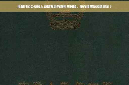 揭秘打印公章收入证明背后的真相与风险，操作指南及风险警示 ?