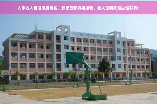 人事收入证明深度解析，职场薪酬真相揭秘，收入证明究竟由谁开具？