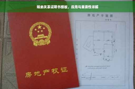 姐弟关系证明书模板，应用与重要性详解