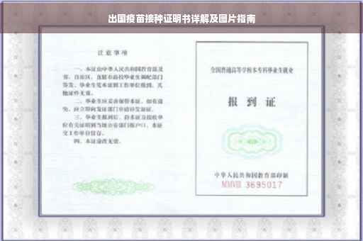 出国疫苗接种证明书详解及图片指南