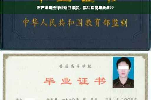 财产赠与法律证明书详解，撰写指南与要点??