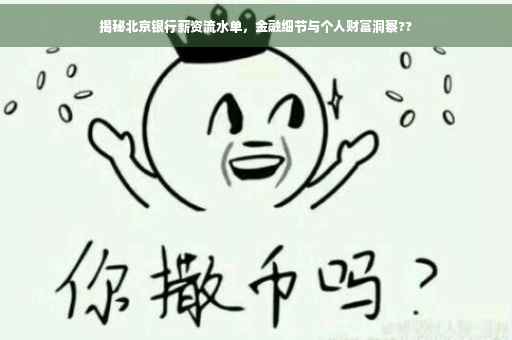揭秘北京银行薪资流水单，金融细节与个人财富洞察??