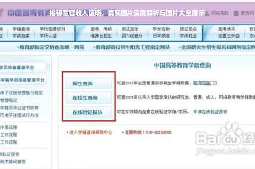 揭秘军官收入证明，真实图片深度解析与图片大全展示