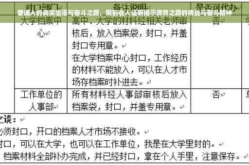 普通人的真实生活与奋斗之路，税前收入证明揭示房贷之路的挑战与奋斗精神