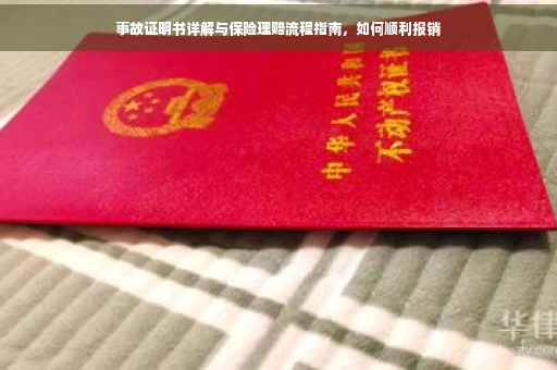 事故证明书详解与保险理赔流程指南，如何顺利报销