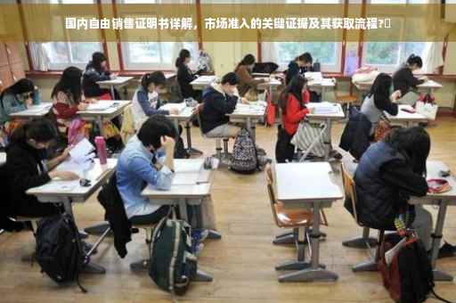 国内自由销售证明书详解，市场准入的关键证据及其获取流程?✨