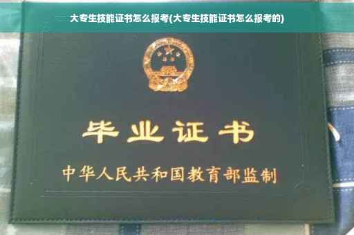 大专生技能证书怎么报考(大专生技能证书怎么报考的)