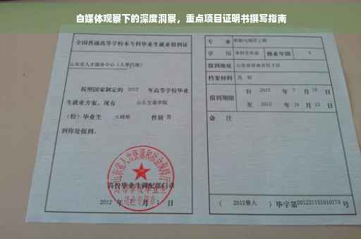 自媒体观察下的深度洞察，重点项目证明书撰写指南