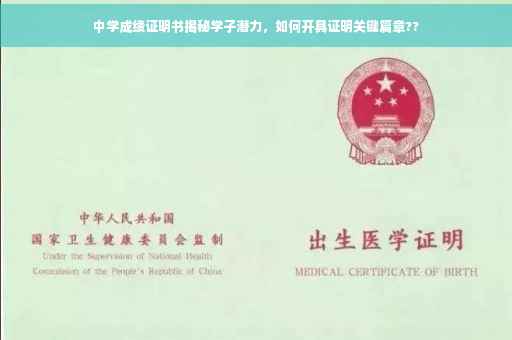 中学成绩证明书揭秘学子潜力，如何开具证明关键篇章??