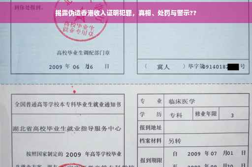 揭露伪造香港收入证明犯罪，真相、处罚与警示??