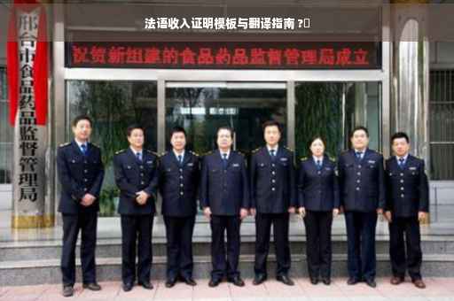 法语收入证明模板与翻译指南 ?✨