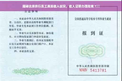 揭秘北京农行员工真实收入状况，收入证明办理指南 ?⚡️