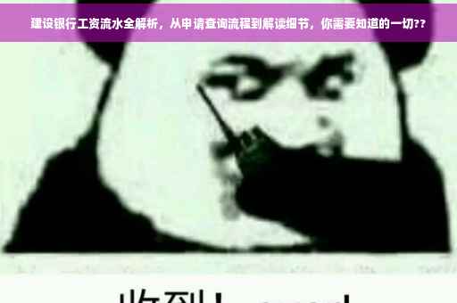 建设银行工资流水全解析，从申请查询流程到解读细节，你需要知道的一切??