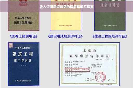 收入证明质证意见的详解与填写指南