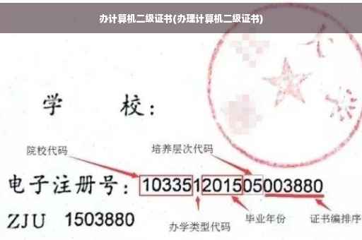 办计算机二级证书(办理计算机二级证书)